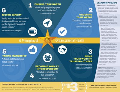 Organizatixwnal Health PDF